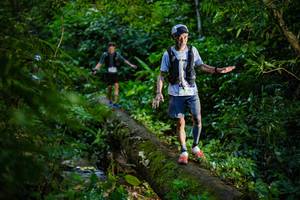 BIB: 
                            <button type="button" onclick="openModal(18922380)" class="btn btn-primary btn-sm float-right btn-popup" data-toggle="modal" data-target=".modal-high-quality">
                        <i class="fas fa-shopping-cart"></i> Add to Cart
                    </button>
                                            <button type="button" onclick="isThisMe(18922380, true)" class="btn btn-success btn-sm float-right btn-popup btn-isme hidden" data-toggle="tooltip" data-placement="bottom" title="นี่คือรูปของคุณใช่ไหม คลิกที่นี่เพื่อเอาเข้าอัลบั้ม">
                        <i class="fas fa-plus"></i> Add to album
                    </button>
                    <button type="button" onclick="isThisMe(18922380, false)" class="btn btn-warning btn-sm float-right btn-popup btn-isnotme hidden">
                        <i class="fas fa-ban"></i> Remove from album
                    </button>